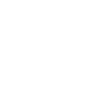 Online Diagnostics